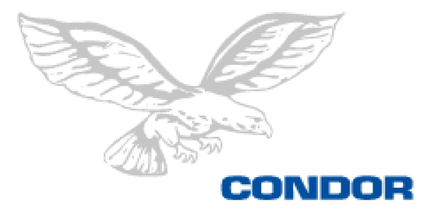 condor logo