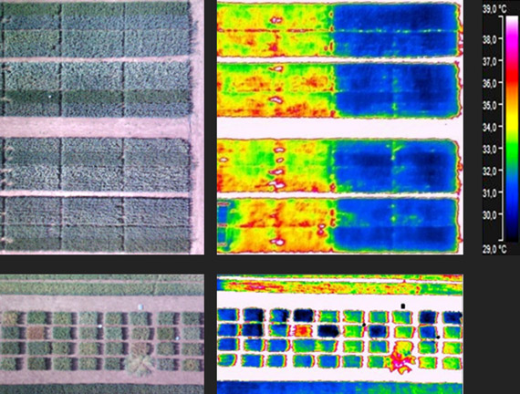 05 water stress thermal imaging camera uses