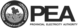 provincial electricity authority bw 300
