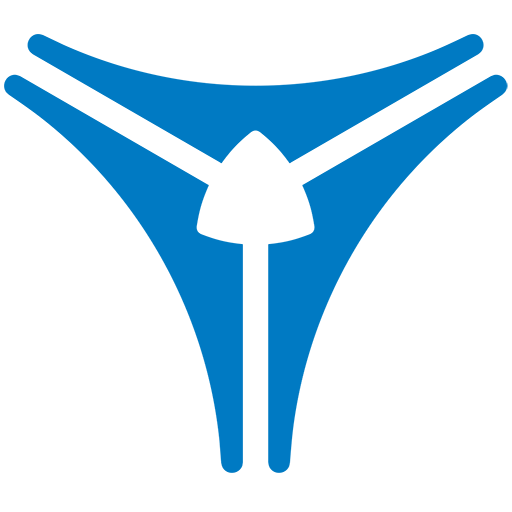 vision aerial logo